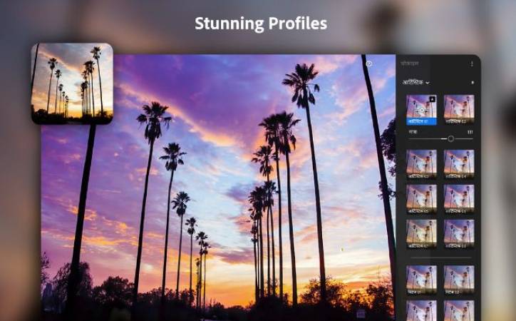 Lightroom Mod Apk