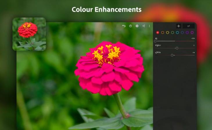 Lightroom Mod Apk